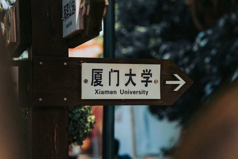 银色金属戒指特写