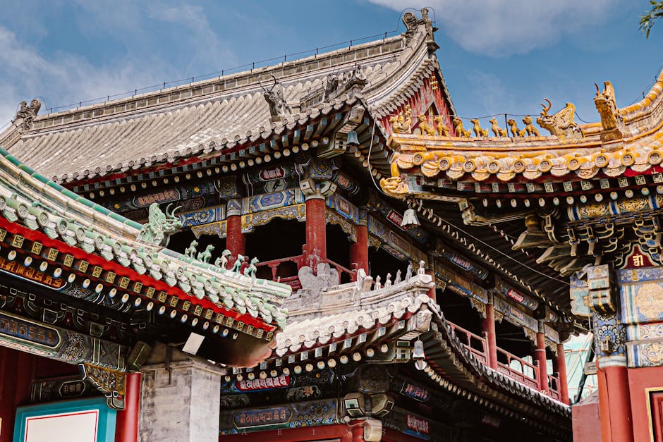 智能戒指内部芯片结构图