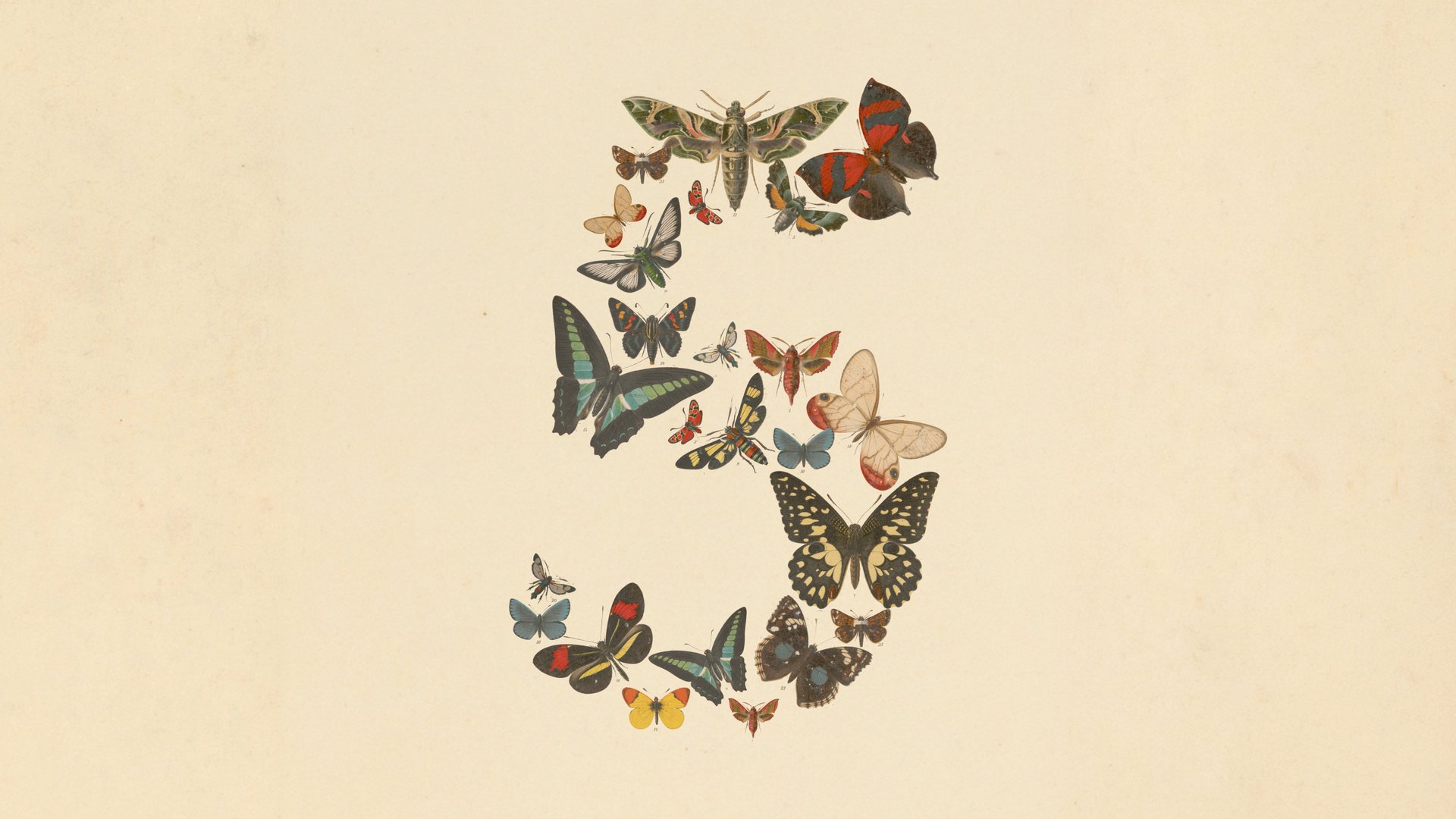 Anthropic Claude Fable 5 发布官方封面图